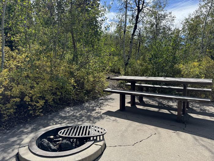 A photo of Site C25 of Loop C at PAYSON LAKES with Picnic Table, Fire Pit, Tent Pad