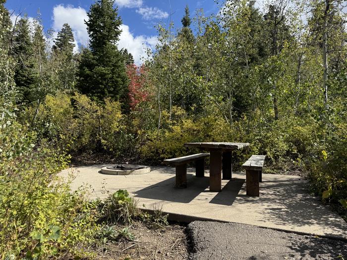 A photo of Site C25 of Loop C at PAYSON LAKES with Picnic Table, Fire Pit