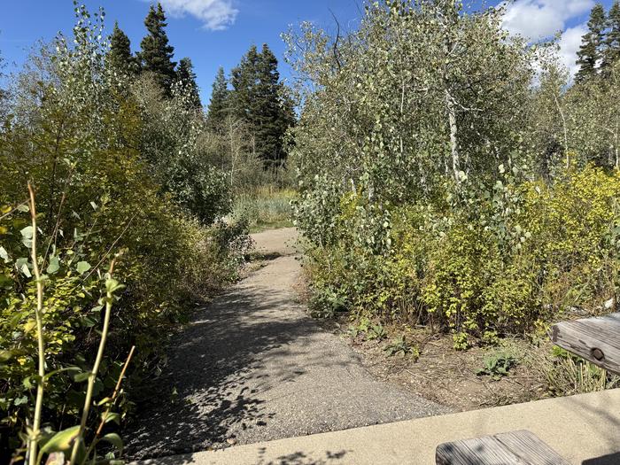 A photo of Site C25 of Loop C at PAYSON LAKES with No Amenities Shown