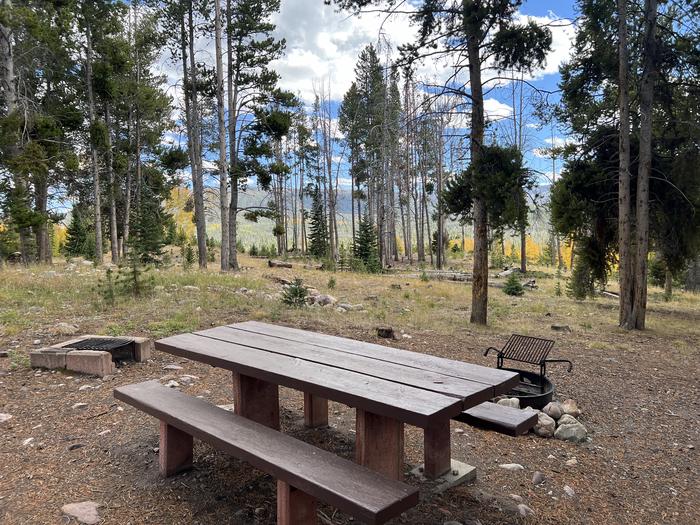 A photo of Site 7 of Loop LYMAN at Little Lyman Lake Campground with Picnic Table, Fire Pit