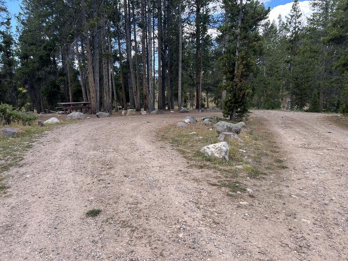 A photo of Site 7 of Loop LYMAN at Little Lyman Lake Campground with No Amenities Shown