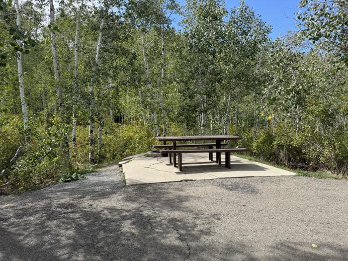 A photo of Site C14 of Loop C at PAYSON LAKES with Picnic Table