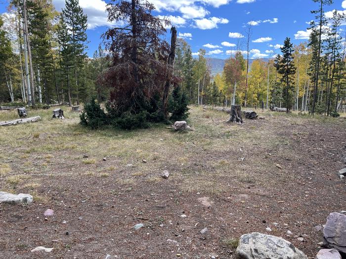 A photo of Site 10 of Loop LYMAN at Little Lyman Lake Campground with No Amenities Shown