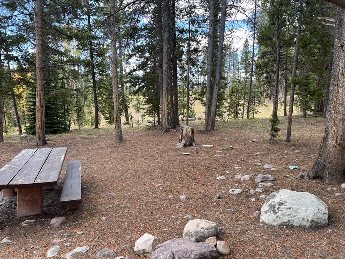 A photo of Site 10 of Loop LYMAN at Little Lyman Lake Campground with Picnic Table