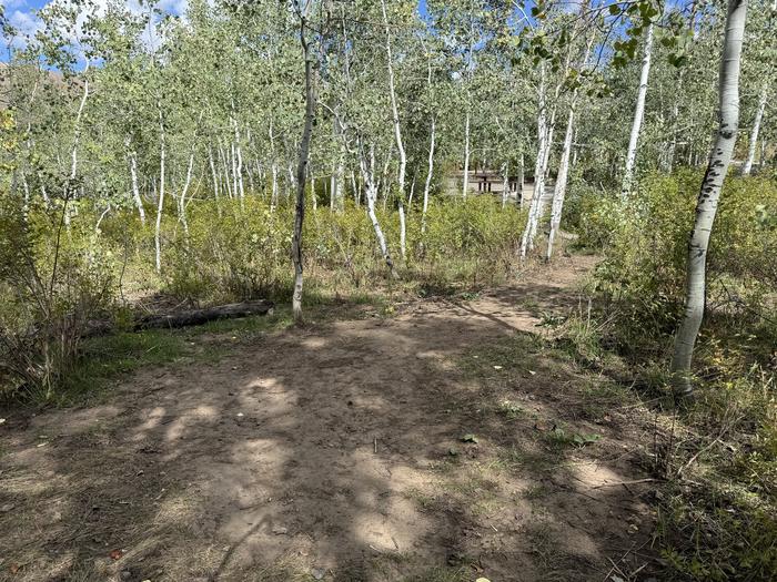 A photo of Site C14 of Loop C at PAYSON LAKES with Tent Pad