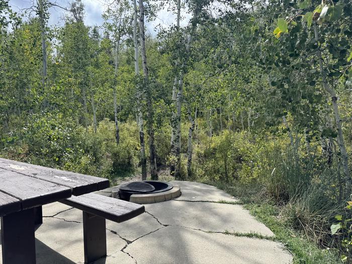 A photo of Site C14 of Loop C at PAYSON LAKES with Picnic Table, Fire Pit