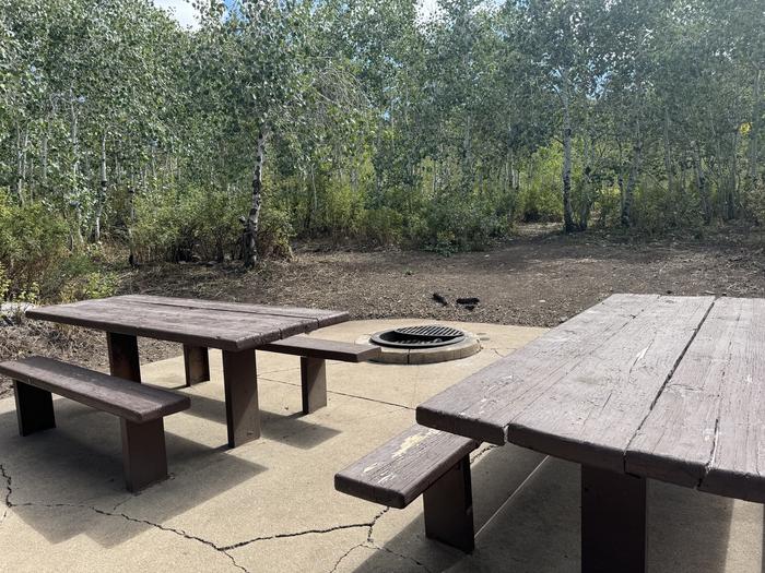 A photo of Site C06/07 of Loop C at PAYSON LAKES with Picnic Table, Fire Pit, Tent Pad