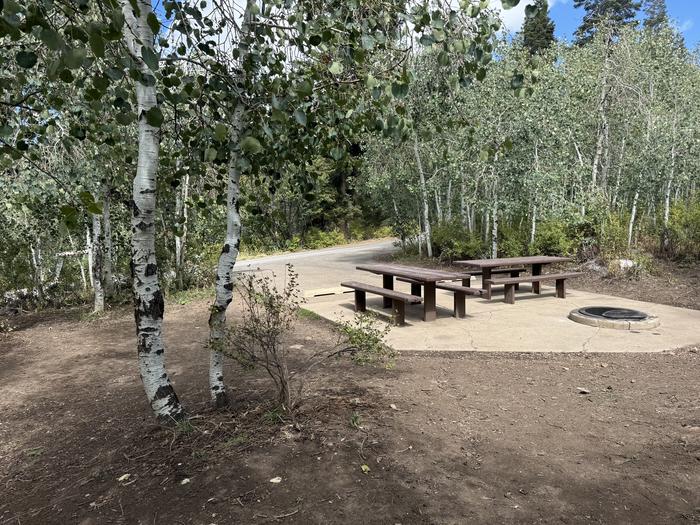 A photo of Site C06/07 of Loop C at PAYSON LAKES with Picnic Table, Fire Pit, Tent Pad