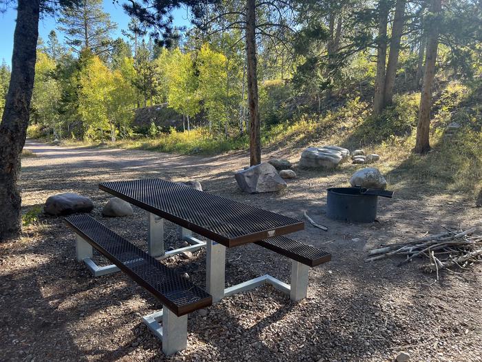 A photo of Site 1 of Loop EFBR at East Fork Bear River Campground (Uinta-Wasatch-Cache National Forest, UT) with Picnic Table, Fire Pit