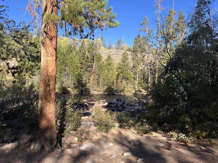 A photo of Site 2 of Loop EFBR at East Fork Bear River Campground (Uinta-Wasatch-Cache National Forest, UT) with Waterfront