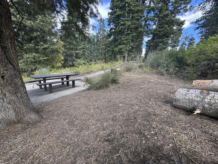 A photo of Site C05 of Loop C at PAYSON LAKES with Tent Pad