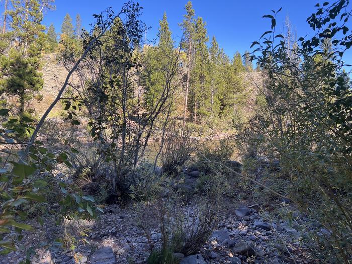 A photo of Site 1 of Loop EFBR at East Fork Bear River Campground (Uinta-Wasatch-Cache National Forest, UT) with Waterfront