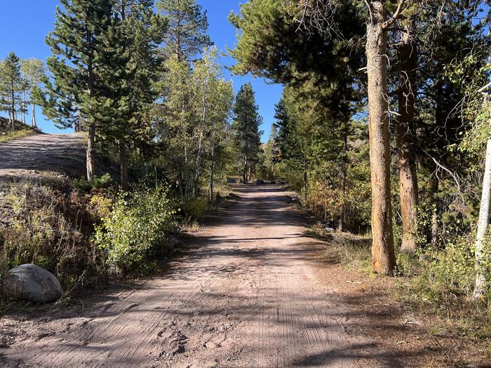 A photo of Site 1 of Loop EFBR at East Fork Bear River Campground (Uinta-Wasatch-Cache National Forest, UT) with No Amenities Shown