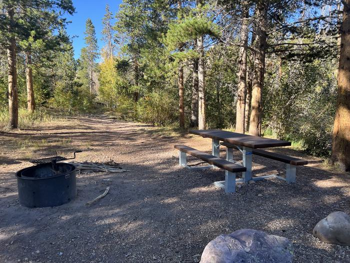 A photo of Site 1 of Loop EFBR at East Fork Bear River Campground (Uinta-Wasatch-Cache National Forest, UT) with Picnic Table, Fire Pit