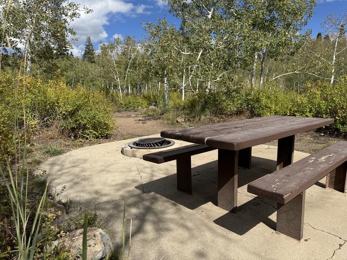 A photo of Site C18 of Loop C at PAYSON LAKES with Picnic Table, Fire Pit, Tent Pad