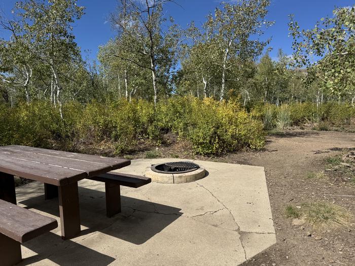 A photo of Site C18 of Loop C at PAYSON LAKES with Picnic Table, Fire Pit, Tent Pad