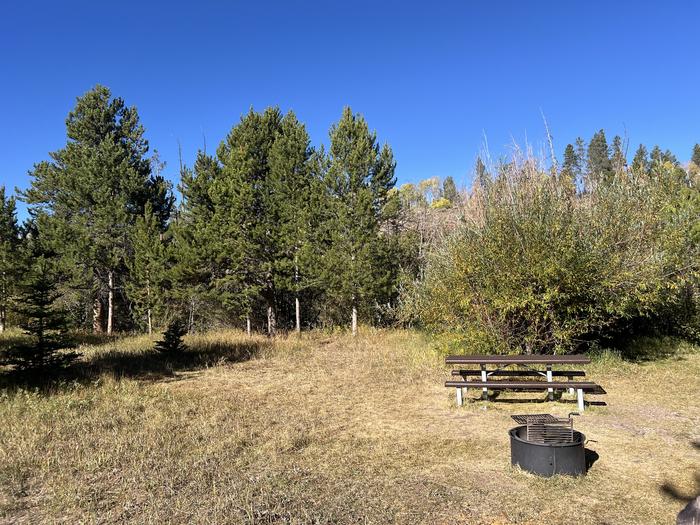 A photo of Site 4 of Loop EFBR at East Fork Bear River Campground (Uinta-Wasatch-Cache National Forest, UT) with Picnic Table, Fire Pit