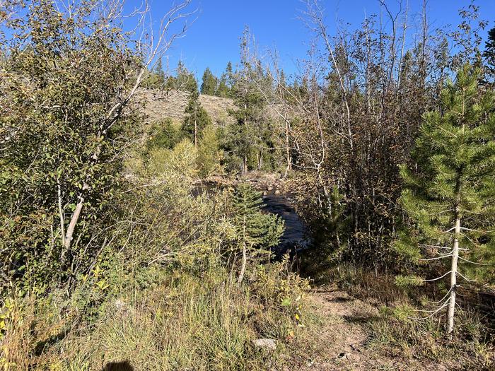 A photo of Site 6 of Loop EFBR at East Fork Bear River Campground (Uinta-Wasatch-Cache National Forest, UT) with Waterfront