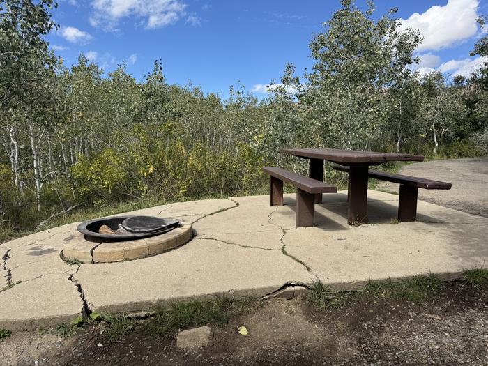 A photo of Site C12 of Loop C at PAYSON LAKES with Picnic Table, Fire Pit