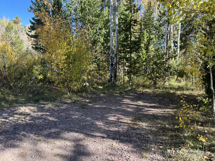 A photo of Site 1 of Loop BEAR at Bear River Campground (Uinta-Wasatch-Cache National Forest, UT) with No Amenities Shown