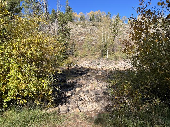 A photo of Site 1 of Loop BEAR at Bear River Campground (Uinta-Wasatch-Cache National Forest, UT) with Waterfront