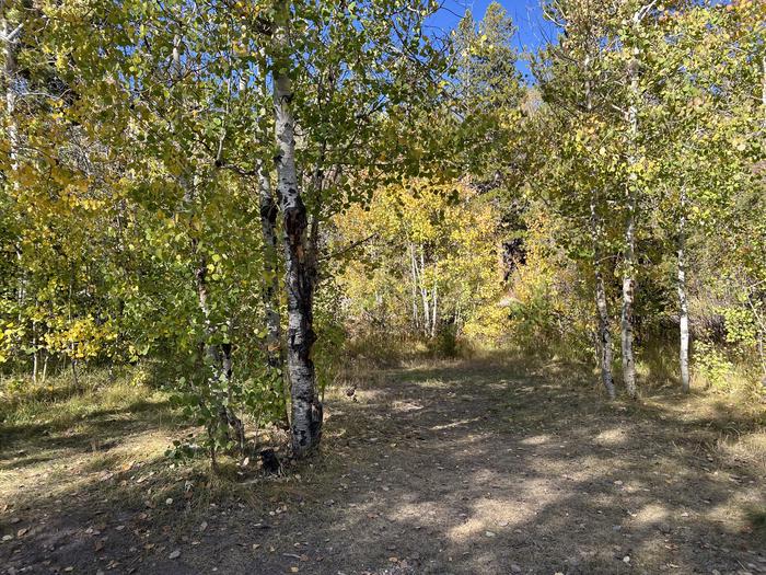 A photo of Site 2 of Loop BEAR at Bear River Campground (Uinta-Wasatch-Cache National Forest, UT) with No Amenities Shown