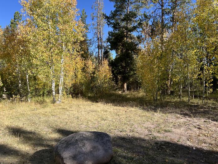 A photo of Site 2 of Loop BEAR at Bear River Campground (Uinta-Wasatch-Cache National Forest, UT) with No Amenities Shown