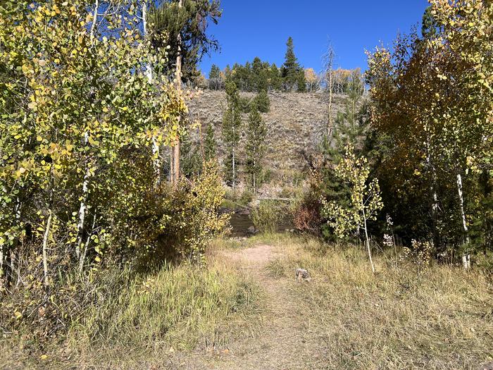 A photo of Site 2 of Loop BEAR at Bear River Campground (Uinta-Wasatch-Cache National Forest, UT) with No Amenities Shown