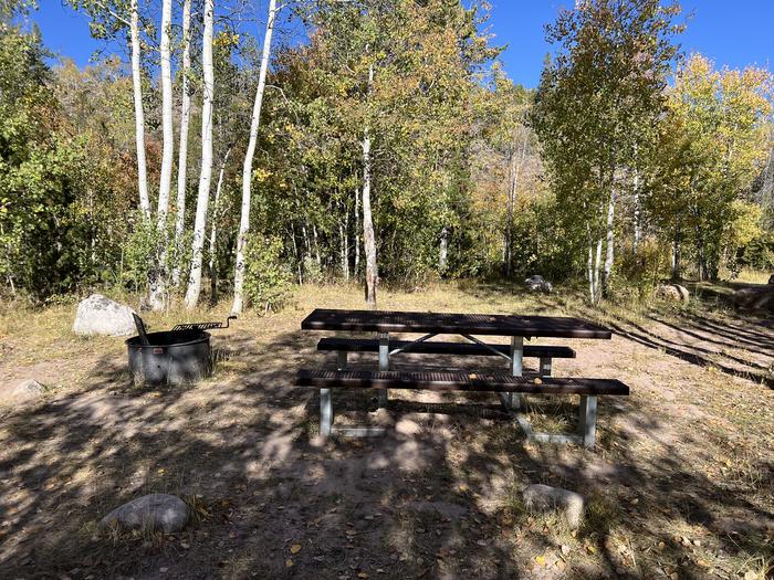 A photo of Site 3 of Loop BEAR at Bear River Campground (Uinta-Wasatch-Cache National Forest, UT) with Picnic Table, Fire Pit