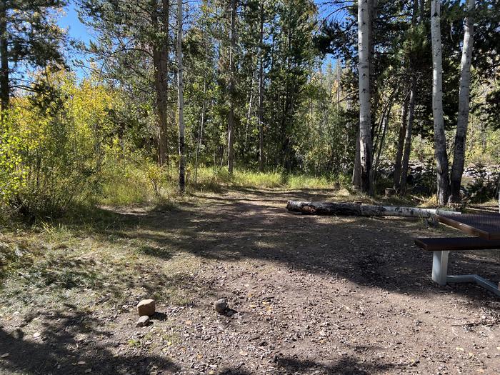 A photo of Site 4 of Loop BEAR at Bear River Campground (Uinta-Wasatch-Cache National Forest, UT) with No Amenities Shown