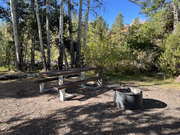 A photo of Site 4 of Loop BEAR at Bear River Campground (Uinta-Wasatch-Cache National Forest, UT) with Picnic Table, Fire Pit