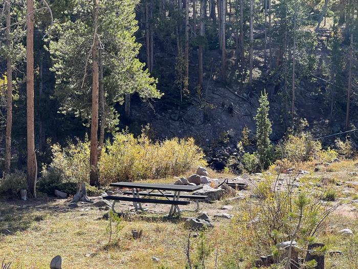 A photo of Site 2 of Loop HAYDEN at Hayden Fork Campground with Picnic Table