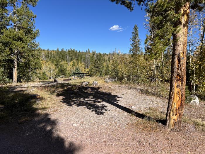 A photo of Site 6 of Loop HAYDEN at Hayden Fork Campground with No Amenities Shown