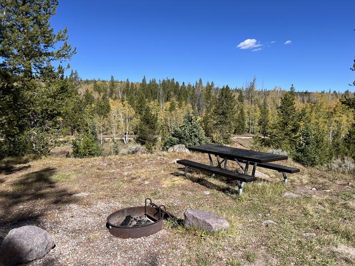 A photo of Site 6 of Loop HAYDEN at Hayden Fork Campground with Picnic Table, Fire Pit