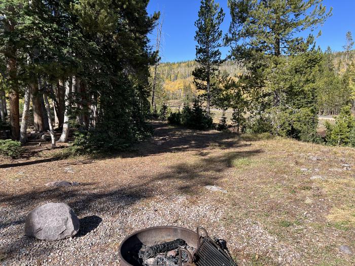 A photo of Site 6 of Loop HAYDEN at Hayden Fork Campground with Fire Pit