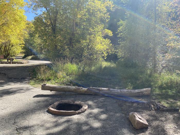 A photo of Site 18AFT of Loop MUEL at MUELLER PARK GROUP PICNIC with Fire Pit