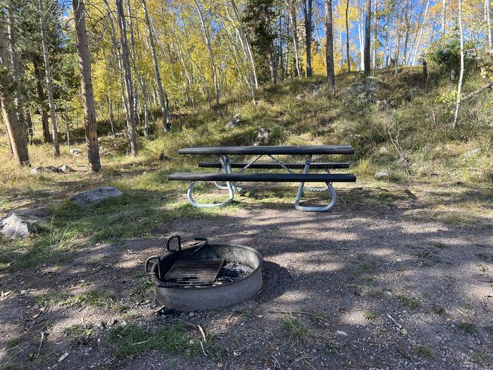 A photo of Site 1 of Loop HAYDEN at Hayden Fork Campground with Picnic Table, Fire Pit