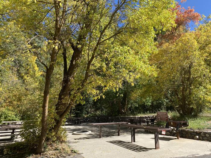 A photo of Site 19AFT of Loop MUEL at MUELLER PARK GROUP PICNIC with Picnic Table