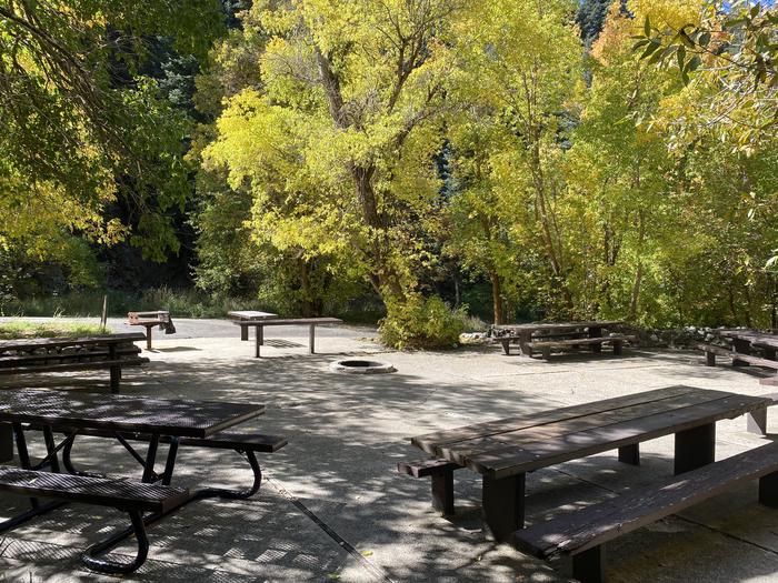 A photo of Site 19AFT of Loop MUEL at MUELLER PARK GROUP PICNIC with Picnic Table