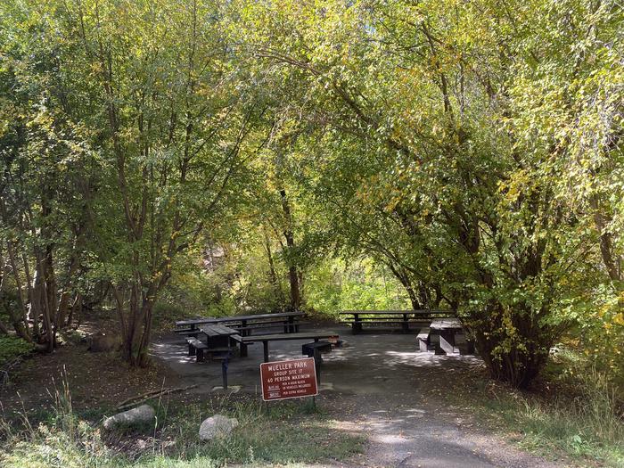 A photo of Site 17EVE of Loop MUEL at MUELLER PARK GROUP PICNIC with Picnic Table, Fire Pit