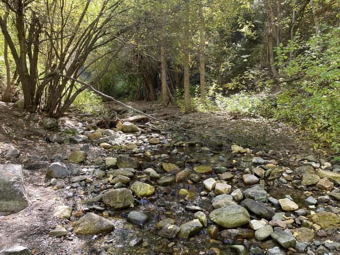 A photo of Site 17EVE of Loop MUEL at MUELLER PARK GROUP PICNIC with No Amenities Shown