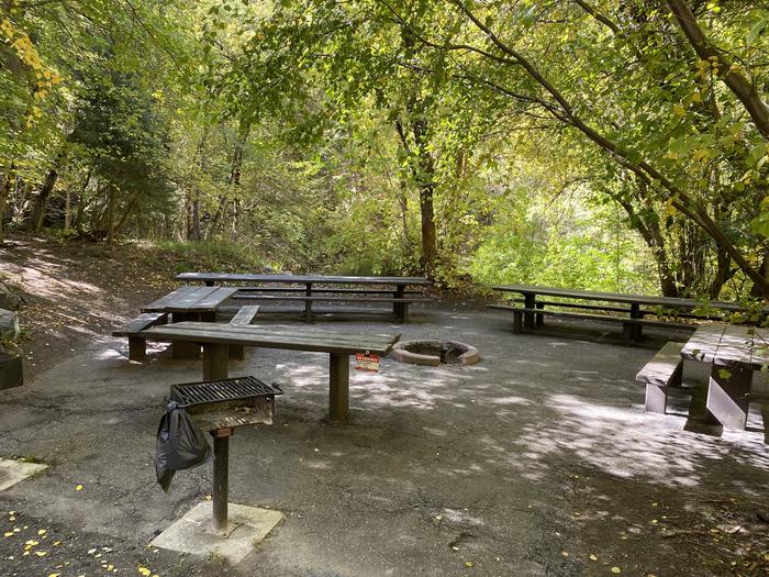 A photo of Site 17EVE of Loop MUEL at MUELLER PARK GROUP PICNIC with Picnic Table, Fire Pit