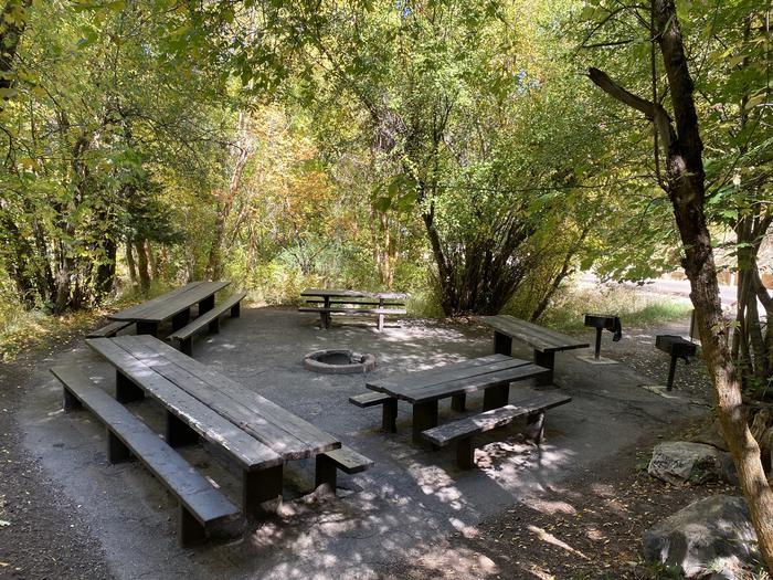 A photo of Site 17EVE of Loop MUEL at MUELLER PARK GROUP PICNIC with Picnic Table, Fire Pit