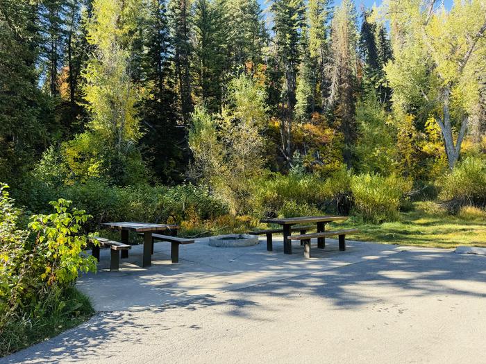 Picnic Table and Fire Ring 2