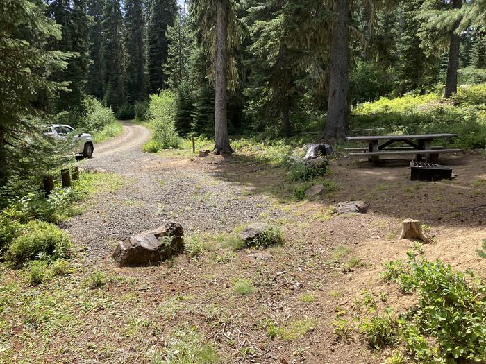 A photo of Site 1 of Loop Woodward at Woodward Campground with Picnic Table, Fire Pit, Shade, Tent Pad