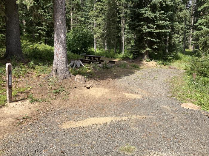 A photo of Site 1 of Loop Woodward at Woodward Campground with Picnic Table, Fire Pit, Shade, Tent Pad