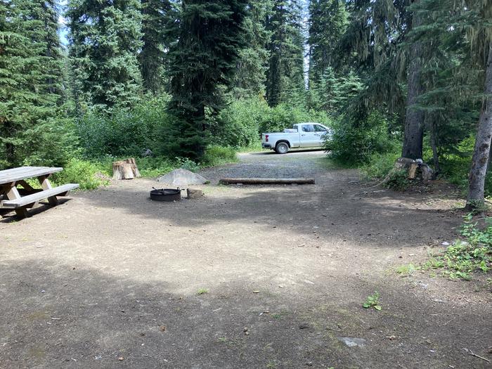 A photo of Site 2 of Loop Woodward at Woodward Campground with Picnic Table, Fire Pit, Shade