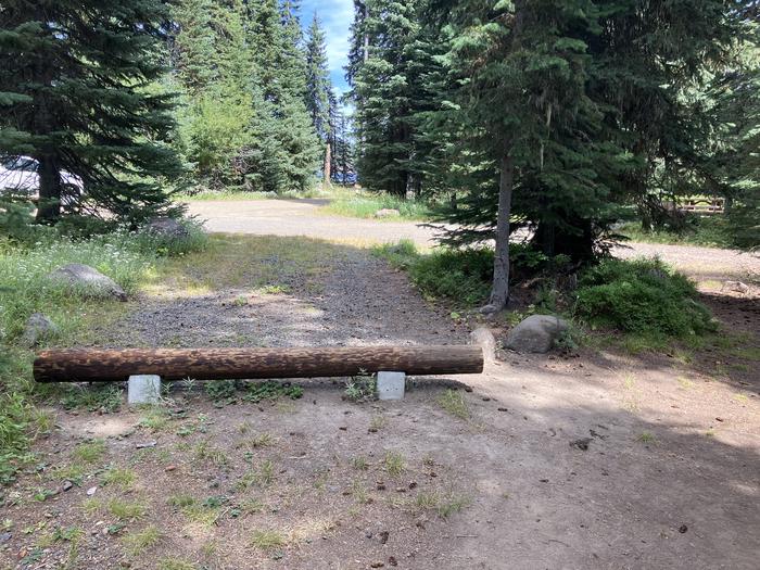 A photo of Site 8 of Loop Woodward at Woodward Campground with Picnic Table, Fire Pit, Shade, Tent Pad