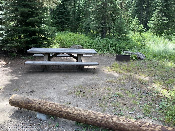 A photo of Site 8 of Loop Woodward at Woodward Campground with Picnic Table, Fire Pit, Shade