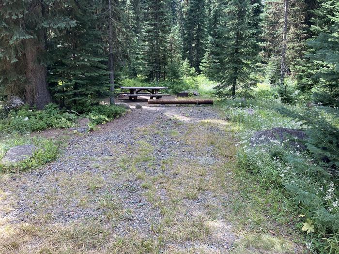 A photo of Site 8 of Loop Woodward at Woodward Campground with Picnic Table, Fire Pit, Shade